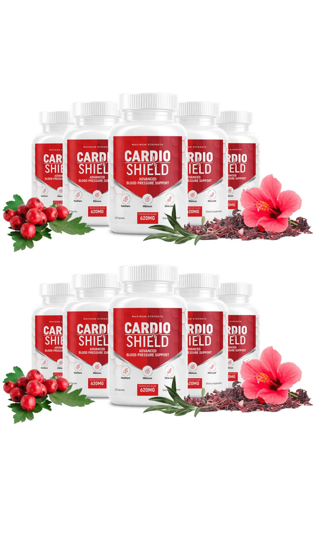 cardio shield intro
